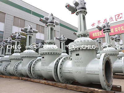 品牌的價值和使命-良固集團文化專題紀(jì)錄片